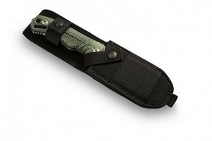 top_egg_4ecbecb6bc0ff_350x350